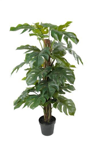 XXX_SLUT_Monstera - - 125 cm - www.frokenfraken.se
