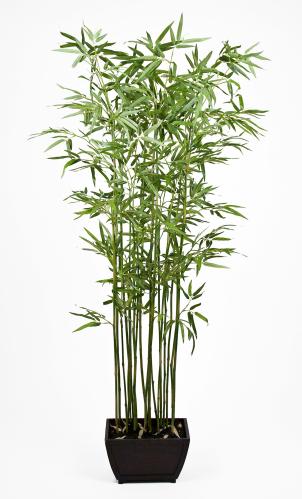 Bambu - 190 cm - www.frokenfraken.se