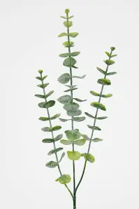 Eucalyptus - Grön - 60 cm - www.frokenfraken.se