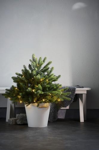 Julgran med belysning - LED Busk - 75 cm - Utomhus & Inomhusbruk - www.frokenfraken.se