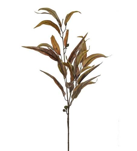 Eucalyptus - Brun - 100 cm - www.frokenfraken.se