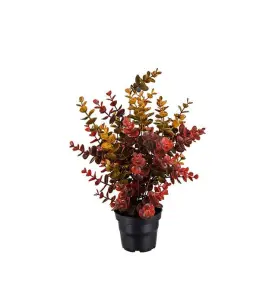 Eucalyptus - Flerfärgad - 40 cm - www.frokenfraken.se