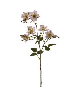 Japansk klätterros - Rosa - 65 cm - www.frokenfraken.se