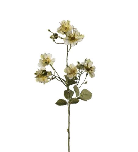 Japansk klätterros - Grön - 35 cm - www.frokenfraken.se
