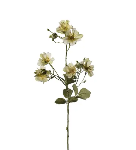 Japansk klätterros - Grön - 35 cm - www.frokenfraken.se
