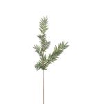 Ormbunke - Grön - 90 cm - www.frokenfraken.se