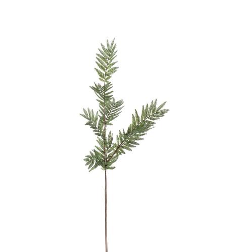 Ormbunke - Grön - 90 cm - www.frokenfraken.se
