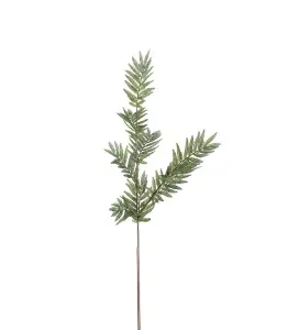 Ormbunke - Grön - 90 cm - www.frokenfraken.se