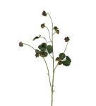 Björnbärskvist - Svart - 95 cm - www.frokenfraken.se