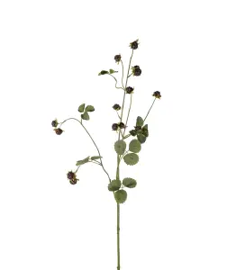 Björnbärskvist - Svart - 115 cm - www.frokenfraken.se