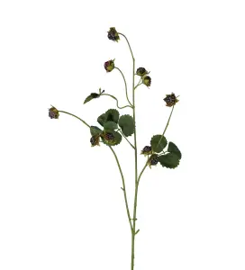 Björnbärskvist - Svart - 95 cm - www.frokenfraken.se