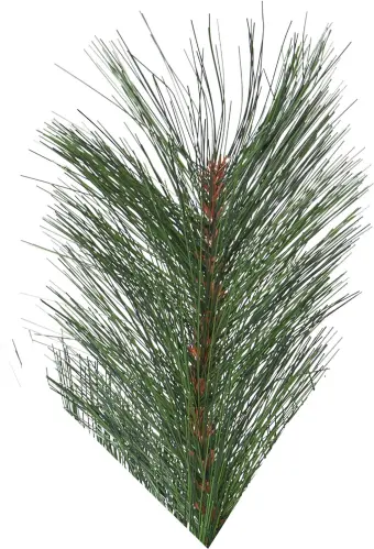 Julgran Cembra - 240 cm - Utomhus & Inomhusbruk - www.frokenfraken.se