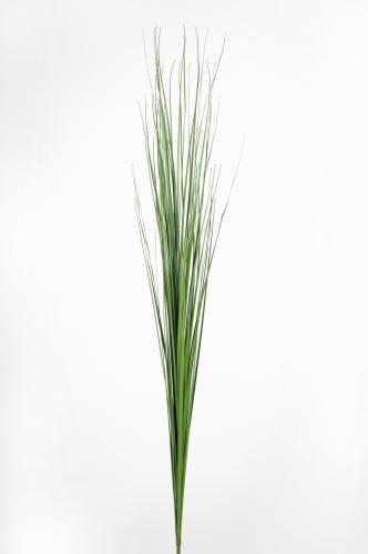 Gräs - Grön - 100 cm - www.frokenfraken.se