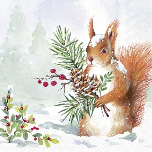 Servetter - Roger - 20 st/33 x 33 cm - www.frokenfraken.se