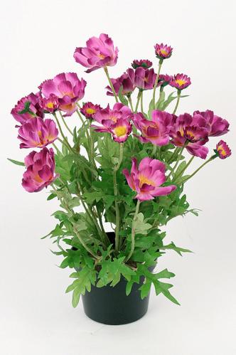 Rosenskära - Lila - 32 cm - www.frokenfraken.se