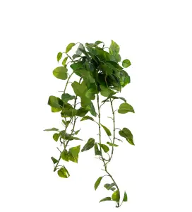 Gullranka - Grön - 25 cm - www.frokenfraken.se