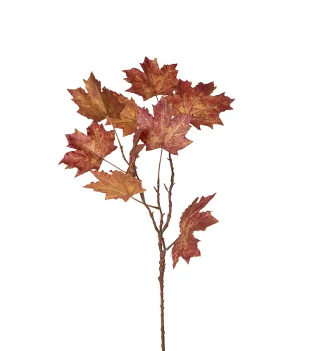 Lönnkvist - Röd - 75 cm - www.frokenfraken.se