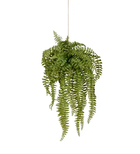 Ormbunke - Grön - 53 cm - www.frokenfraken.se