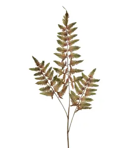 Ormbunksblad - Grön - 100 cm - www.frokenfraken.se