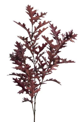 Kvistar - Bordeaux - 120 cm - www.frokenfraken.se