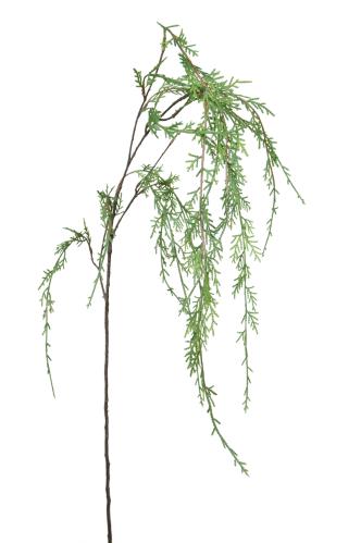 Cypress - Grön - 90 cm - www.frokenfraken.se