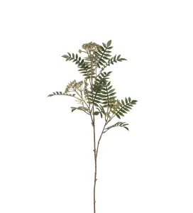 Rönn - Grön - 80 cm - www.frokenfraken.se