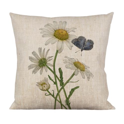 Kuddfodral - Prästkragar/Blåvinge - 47 cm - www.frokenfraken.se