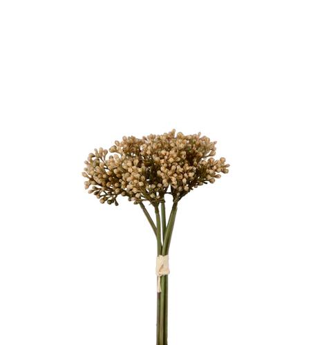 Sedumbunt - Lila - 21 cm - www.frokenfraken.se