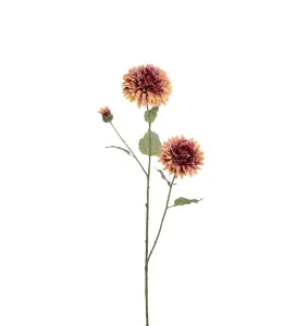 Solros - Flerfärgad - 88 cm - www.frokenfraken.se