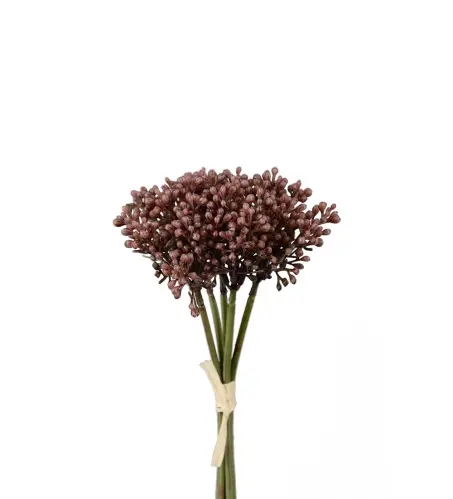 Sedumbunt - Beige - 21 cm - www.frokenfraken.se
