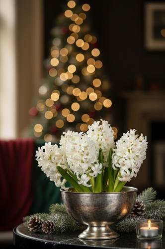 Skål - Champangeskål - champagnefärg - flammig - www.frokenfraken.se