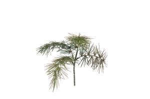 Barrkvist - - 35 cm - www.frokenfraken.se