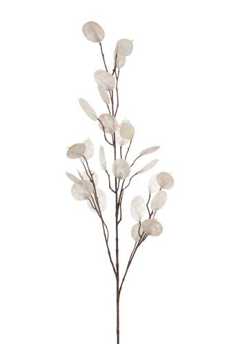 SLUT_Lunaria - Vit - 80 cm - www.frokenfraken.se