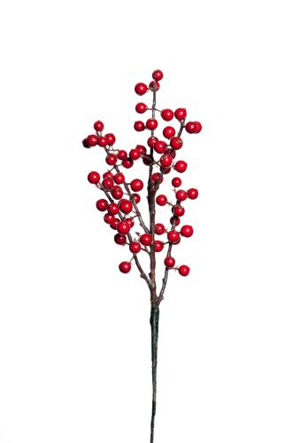 Bärkvist - Röd - 35 cm - www.frokenfraken.se