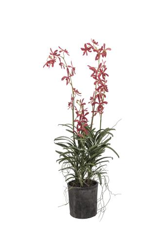 Vanda - Orange - 110 cm - www.frokenfraken.se