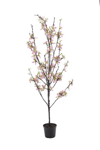 Körsbärsblom - Rosa - 90 cm - www.frokenfraken.se