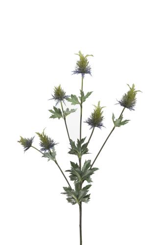 Tistel - Blå - 60 cm - www.frokenfraken.se