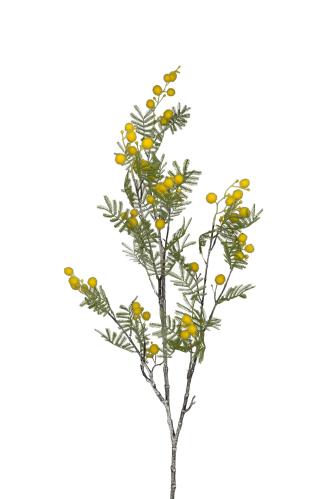 Mimosa - Gul - 110 cm - www.frokenfraken.se