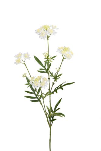 Kvist - Vit - 80 cm - www.frokenfraken.se