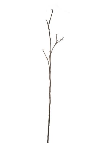 Gren - - 225 cm - www.frokenfraken.se