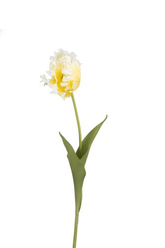 Tulpan - Gul - 70 cm - www.frokenfraken.se