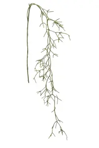 Rhipsalis - Grön - 130 cm - www.frokenfraken.se