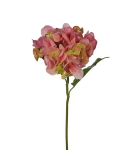 Hortensia - Rosa - 55 cm - www.frokenfraken.se