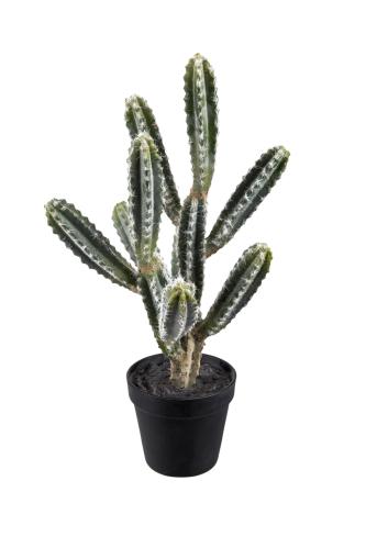 Kaktus - Grön - 45 cm - www.frokenfraken.se