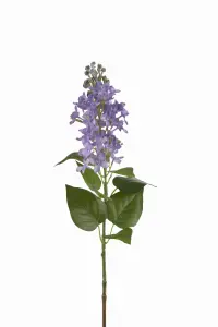 Syrén - Blå - 60 cm - www.frokenfraken.se