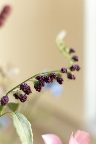 Bukett - Anemon/Lavendel/Stjärnflocka/Pimpinell - www.frokenfraken.se