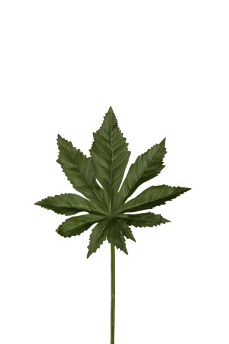 Aralia blad - Grön - 25 cm - www.frokenfraken.se
