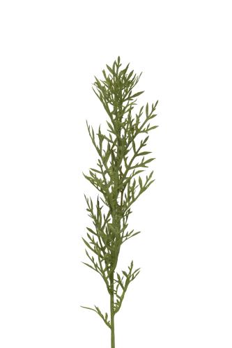 Kvist - Grön - 65 cm - www.frokenfraken.se