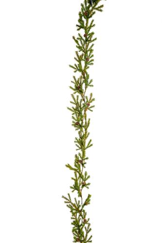 Grangirlang - Grön - Nättare modell - 140 cm - www.frokenfraken.se