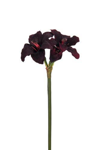 Amaryllis - Röd - 35 cm - www.frokenfraken.se